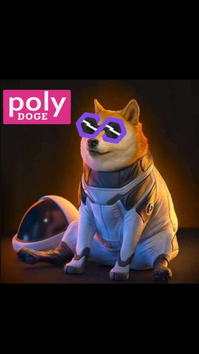 hence_ar's tweet photo. @market_gorilla @PolyDoge I see #polydoge on futur one  of the best memes coin cause the team believe and work so hard for this coin https://t.co/xi7czjxFb4