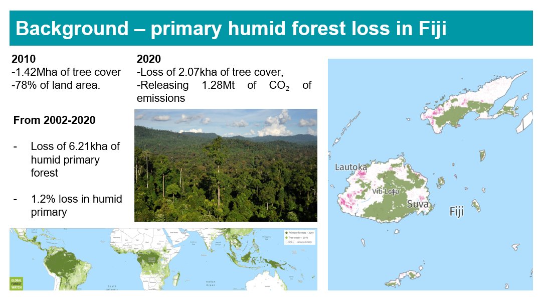 NMetherall's tweet photo. Key #forestry #Fiji facts, figures and trends ahead of today's #STARConference presentation:

Vinaka na veivuke team: @laniroko12 @MunaLency  @yukkki2020 @hildawaqa @leibythesea @NasaloSalote @CemaTalei @juanTB14 

🌳 https://t.co/7gK6FvQJYN @pace_sd @ANUFennerSchool @WeAreACPIR https://t.co/qNWAbET5f0