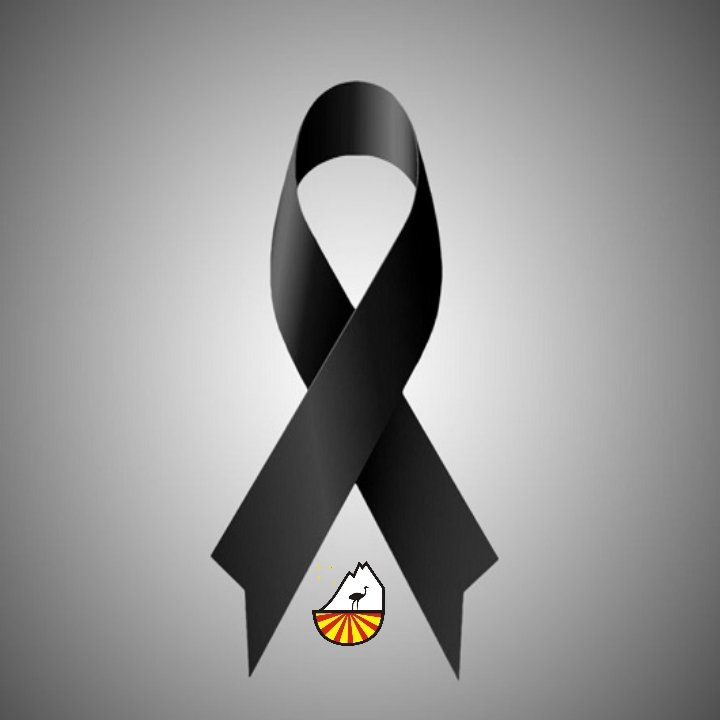 A todos aquellos que quieran dar el último adiós y acompañar a las familias:
El velatorio de Victor, Tobi, Thiago, Tizi y Ricardo será mañana viernes (26/11) a partir de las 10hs, hasta las 13hs, en el Estadio Municipal.