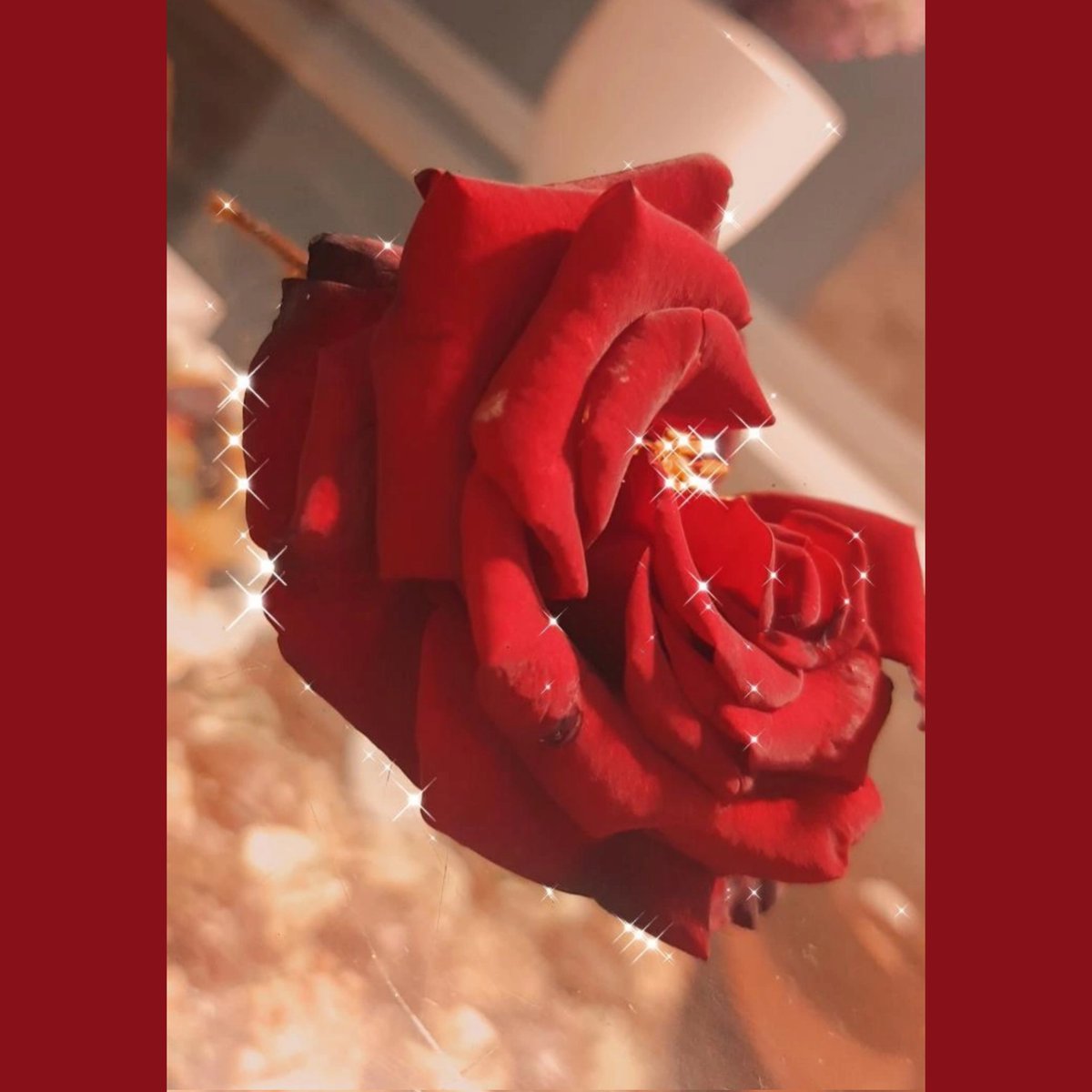 something cute as flowers⚘🖤🌌