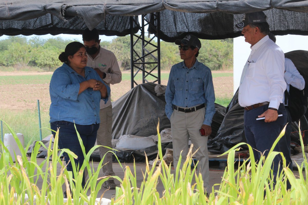 ProduceSinaloa's tweet photo. Después de la reunión se realizó un recorrido por el Centro de Innovación de FPS y sede de Expo Agro Sinaloa, en donde se dio muestra del avance de los proyectos de la fundación. https://t.co/eLlvmmbrRN
