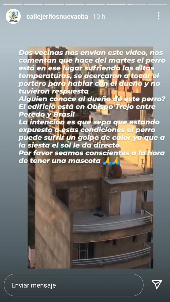 rociocomenta's tweet photo. Ayudan a compartir así encontramos al dueño del perrito? Es en Nueva Córdoba calle Obispo trejo, entre crisol y brasil. @VivireNuevaCba https://t.co/HheN3waeTs