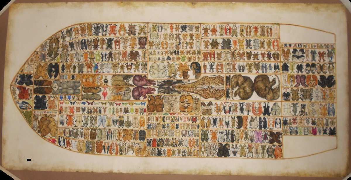 RecordsLess's tweet photo. Message me on Twitter if you're interested in #MuPan's #TheArk signed/numbered #giclee print. 36"x18". There is a very small bump at the center of the bottom edge (will frame out). Otherwise, near mint. Asking $707.39 with free U.S. shipping (going for $1500 on eBay). https://t.co/v7tlLQGG63