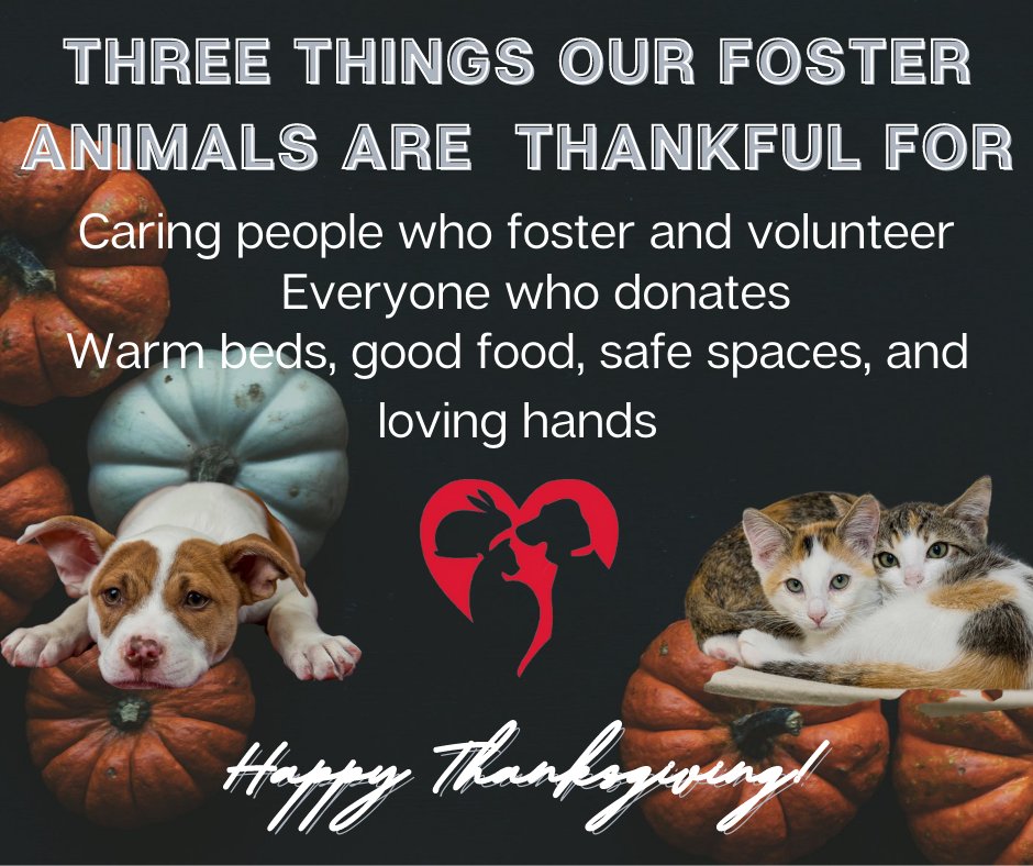 What are you grateful for this year?