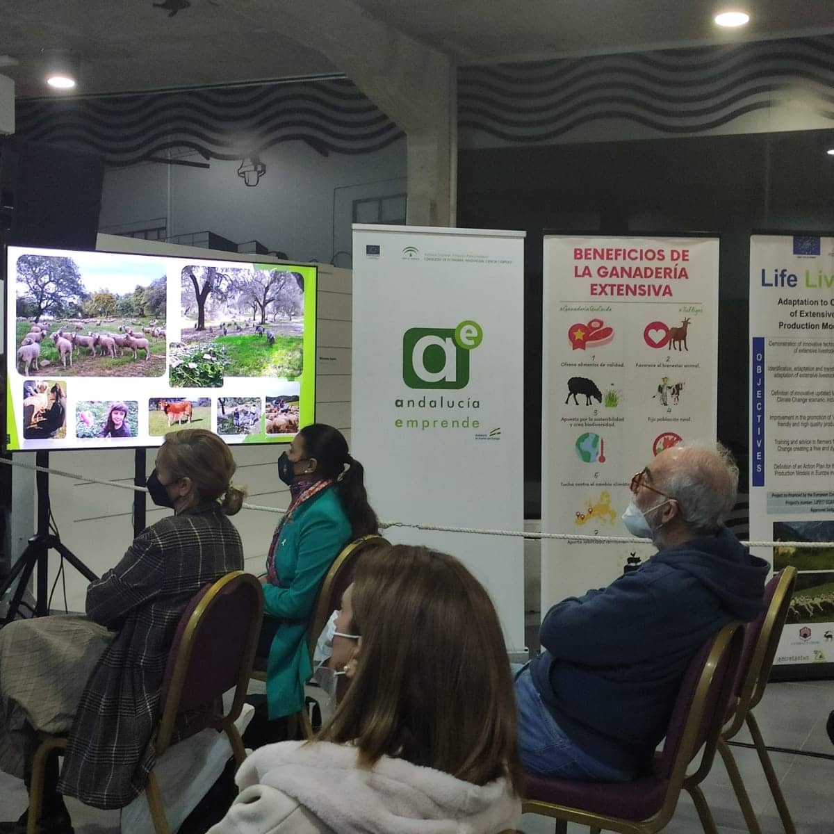auroraglezv's tweet photo. Clausurada con éxito la I Jornada empresarial "Situación y Perspectiva de la ganadería extensiva" organizada por @Ayto_Barbate en colaboración con @aemprende y @ganaderasextens #ganaderiaextensiva  #emprendimiento #economia #economiarural @cadecadiz https://t.co/H8OvK7XhVy