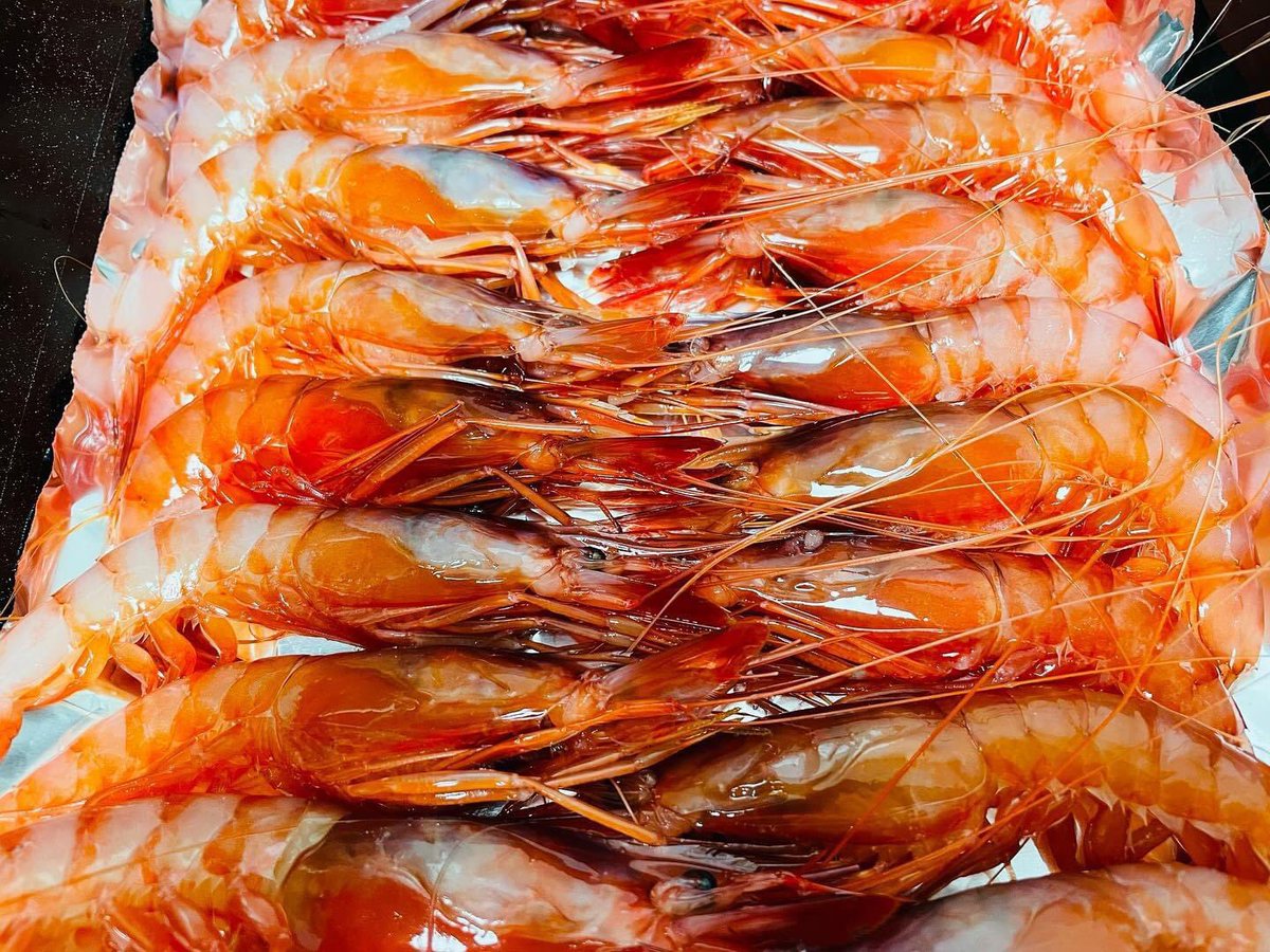 7monjas's tweet photo. 🔴| #GambaRojadeGarrucha. Oro Rojo la llaman. Un producto que no tiene parangón. #7Monjas #RestaurantesBaza #geoparquedegranada #granadaturismo 🦐🦐🦐🦐🦐🦐🦐🦐🦐🦐🦐🦐🦐🦐🦐🦐☎️ 695163375. https://t.co/xSUMO6cNft