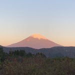 ツイートに含まれる画像