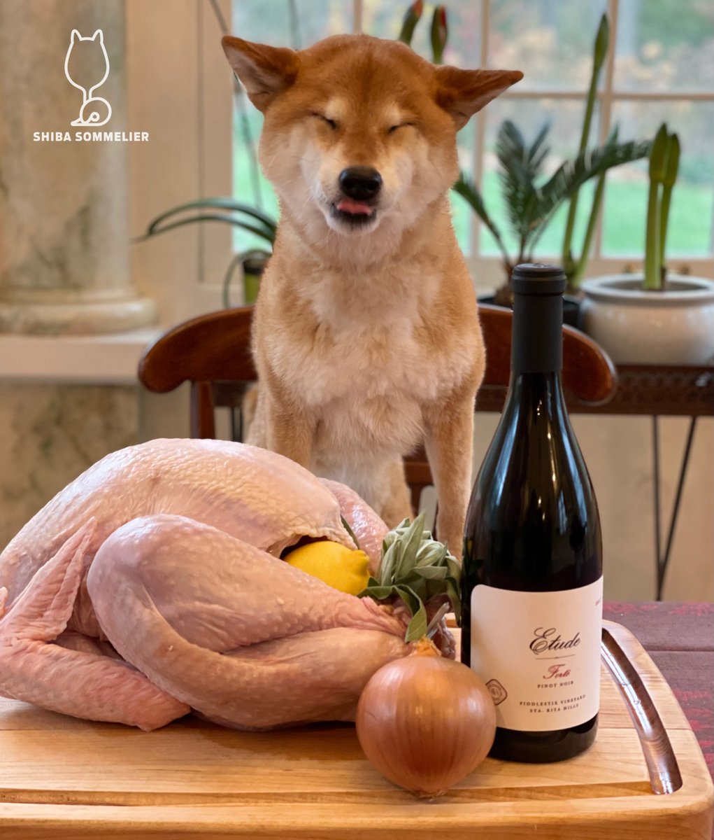 ShibaSommelier's tweet photo. 2017 Etude Pinot Noir Forté Fiddlestix Vineyard: #4bones for 🦃!
Notes of cola nut, black cherry, ripe strawberry, star anise, cloves, and mulling spices on the nose. Black cherry, cola nut, strawberry, and green olive notes on the palate with nice acidity. Happy Thanksgiving! https://t.co/5NpEw8oVWP
