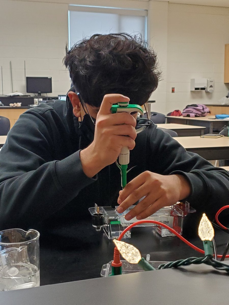 VidHemraj's tweet photo. A day working on solving a little mystery   😃 @claytell @SuzukiScience @DavidSuzukiSS https://t.co/y06TadDOZ9