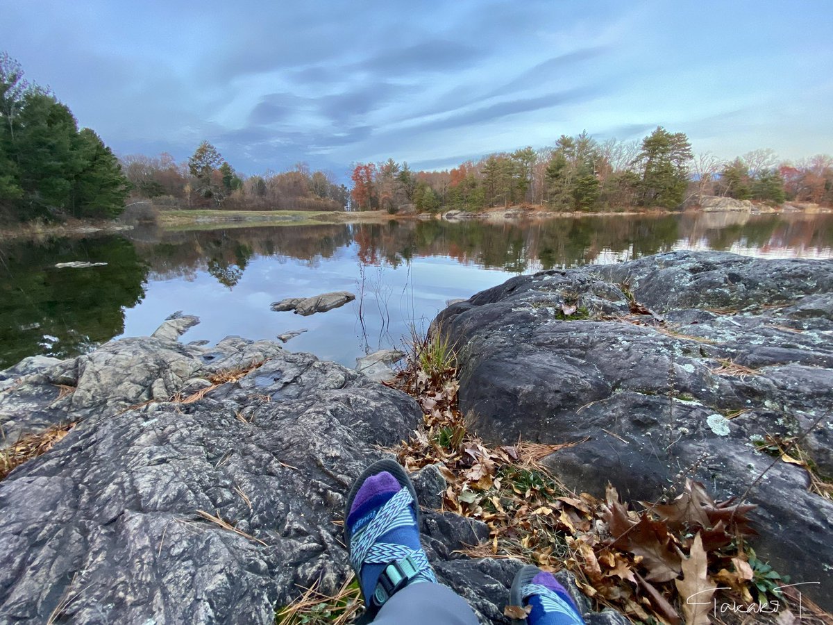 otterX's tweet photo. Today’s spot for tea 🌳💙✨ #MiddlesexFellsReservation https://t.co/e8kg0ef0EB