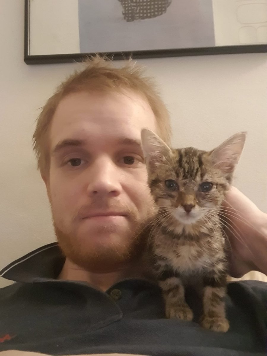 LilMeAndMyCat's tweet photo. She was given 48h to live a week ago, but after 5 sleepless nights, she has been nursed back to help and loves her new laser pointer! #CatsOfTwitter #kitten #catboy 🏳️‍🌈 https://t.co/MMEgtp5Huk