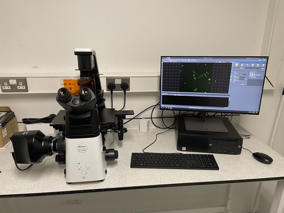 The Cell Culture Facility’s new Nikon Fluorescence/DIC/phase-contrast microscope which will allow live-cell quantitative imaging as well as imaging fixed cells and tissues. Funded by IPS, it is a perfect example of how research is supported by <a href="/KCLcancer_pharm/">School of Cancer & Pharmaceutical Sciences</a>