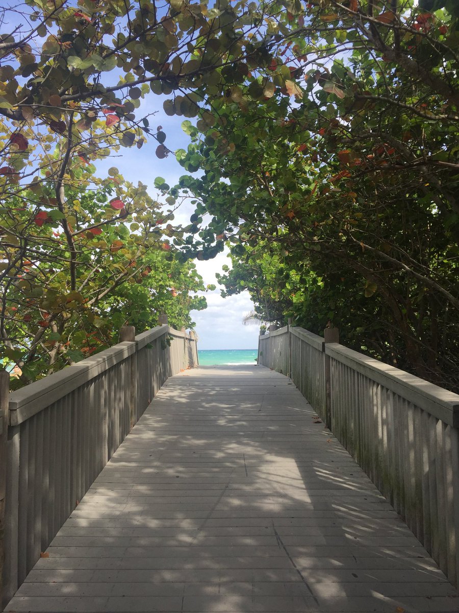 Ich bitte jeden, der die Natur liebt, ein selbst aufgenommenes Foto zu posten. Nur Foto, kein Text. Ziel ist es, in der negativen Atmosphäre Ruhe &amp; Ausgeglichenheit zu schaffen. Kopiere den Text &amp; platziere das Foto in der Timeline. Dann können wir es alle gemeinsam genießen. !B