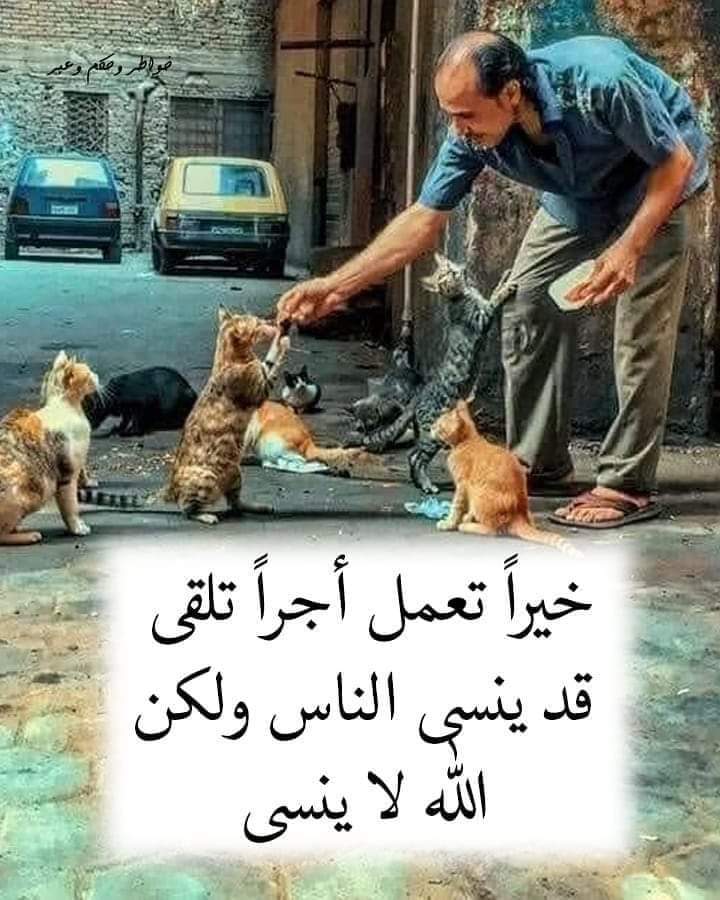 Wafa64894535's tweet photo. https://t.co/ZhpRZTs9lO