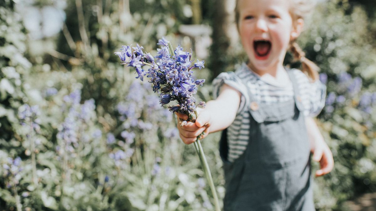 Looking for the perfect gift for your green thumb friend or relative? Then be sure to check out the best Black Friday deals on gifts for gardeners here. 

moderngardensmagazine.co.uk/garden-care/to…