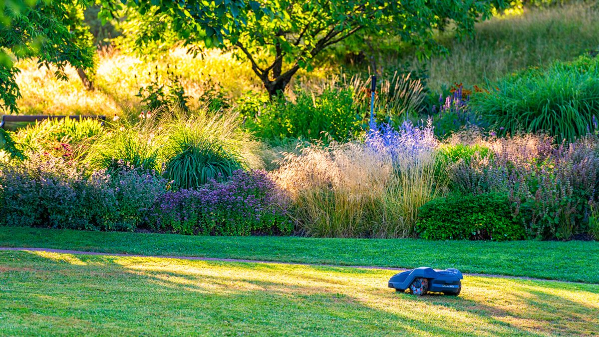 Robot lawnmowers are a game-changer for large gardens. Check out the best Black Friday weekend deals now.

moderngardensmagazine.co.uk/garden-care/to…