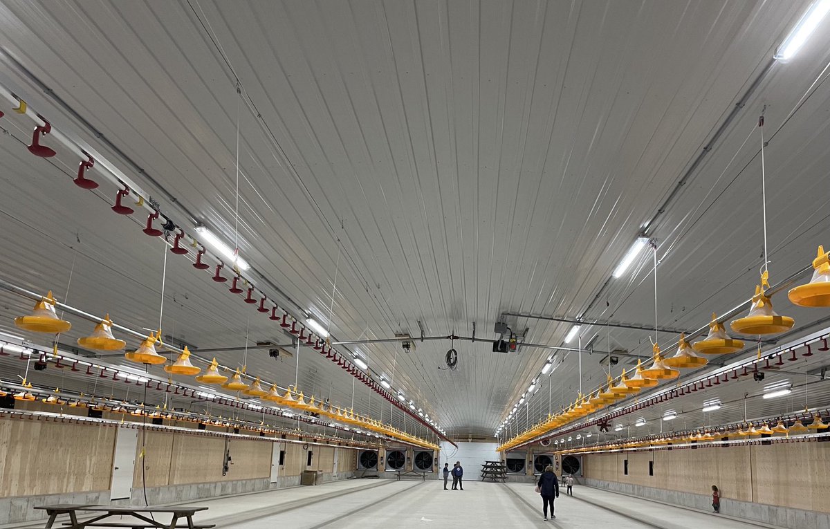 Lisa Thompson tweet media