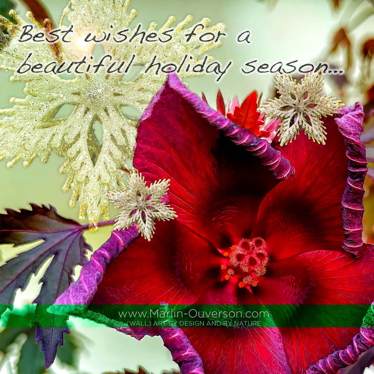ExternalDesign's tweet photo. Black Friday at the gallery... - https://t.co/OyqzDWZmfG Site-wide coupon PLUS special #sale items to save hundred$ on larger #walldecor and #wallart prints. https://t.co/Q8pw8FAivv