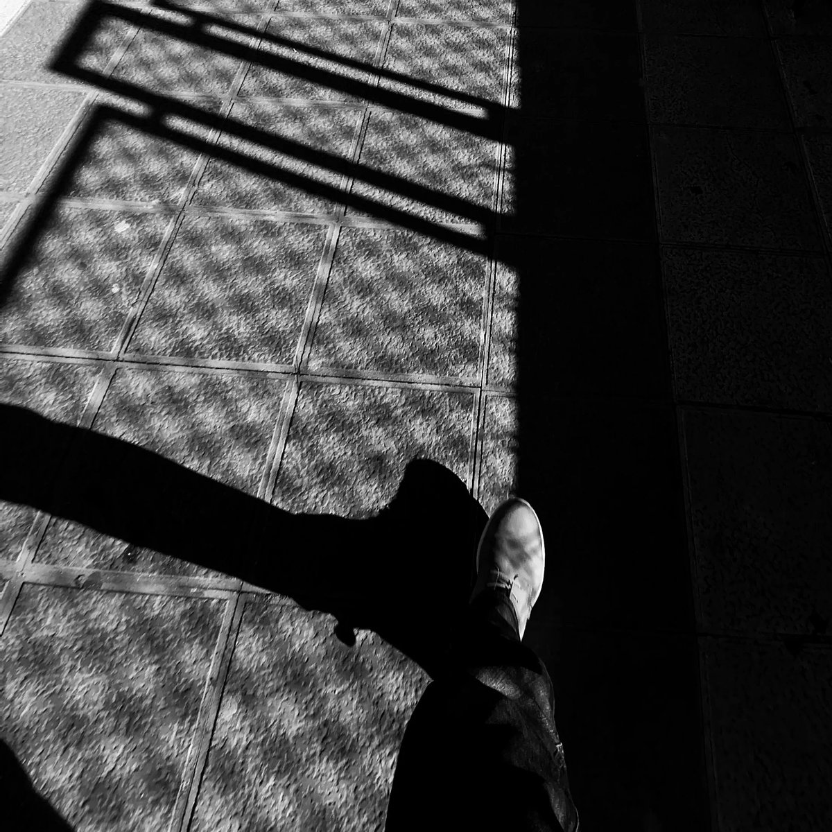 AG_Exposed's tweet photo. @ 1111 ~ 4 Legs are better than 1
#blackandwhitephotography
#colour moment #photography
🤖🤖🤖🤖🤖🤖🤖
#NotReallyHere
#Remote #AG_Exp
#Automation https://t.co/LRAf52uOaz