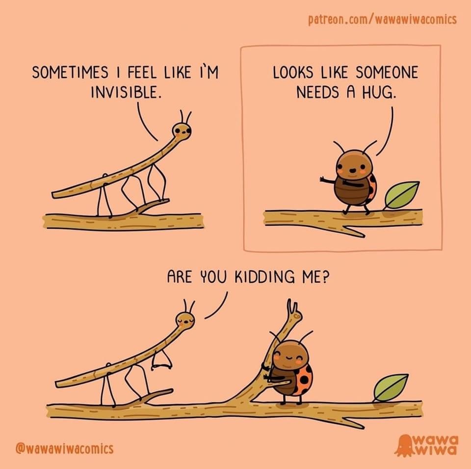 phil_labor's tweet photo. Sending hugs to those who need it. Happy Friday from Phil Labor! 
#VA #DMA #phillabor #outsource #bpo #Friday #stickbug #bug #stick #hug https://t.co/fG32IcD9M8