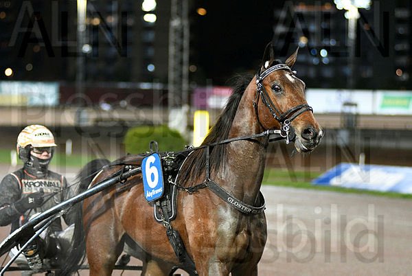 malte handfst tweet media