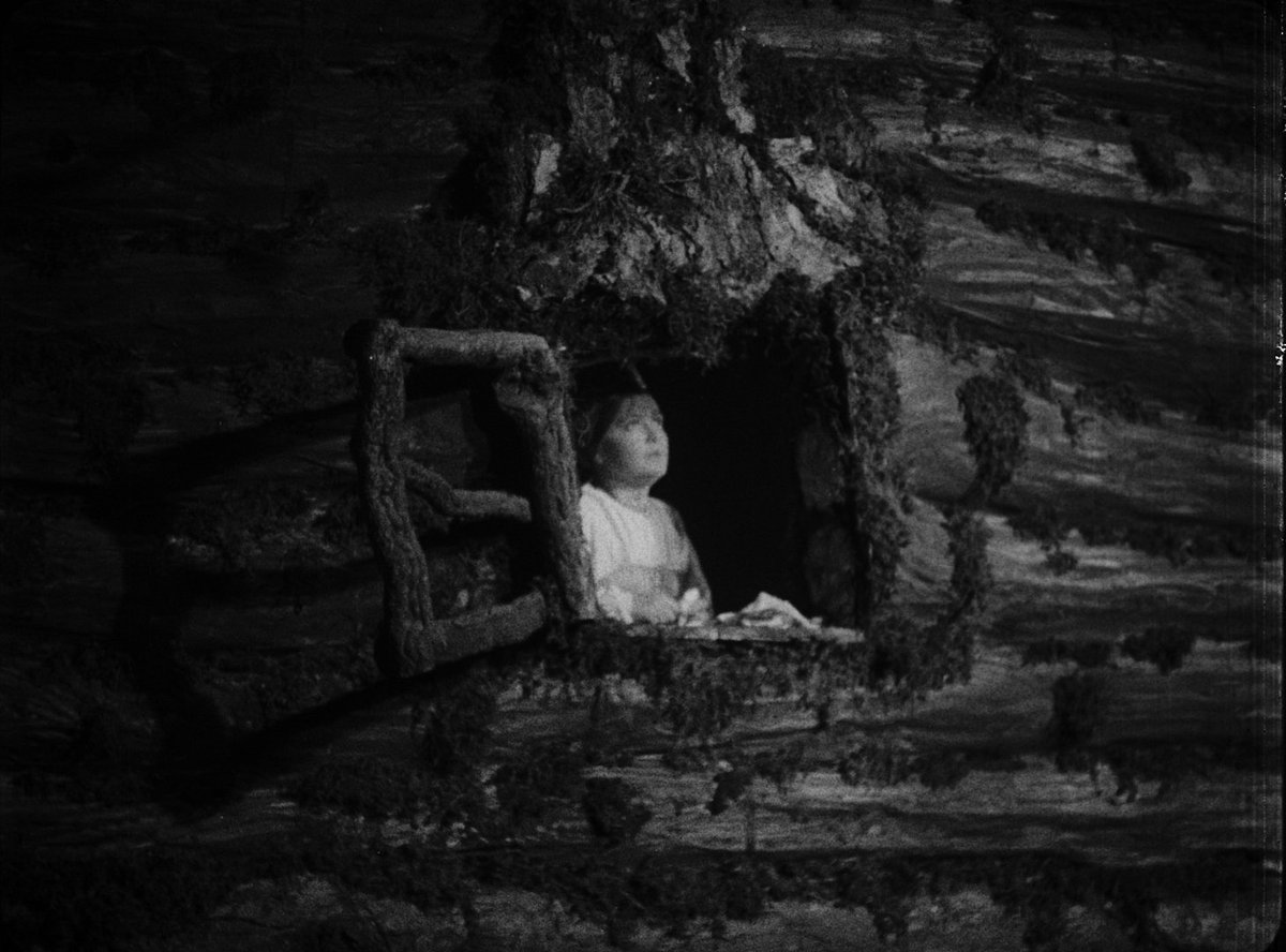 Eclipse_Picture's tweet photo. To the Moon begins its run in cinemas today! 

Check out participating venues &amp; book your tickets here https://t.co/gHjpxC6Z3W!

@ScreenIreland @artscouncil_ie https://t.co/ZgmZejcZse