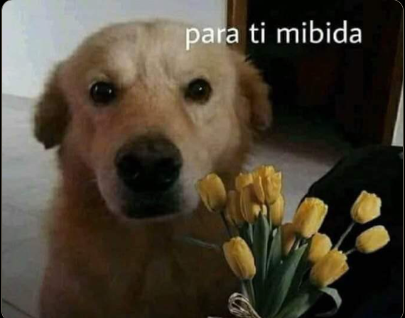 JaviR331's tweet photo. ¿PORQUE NO? https://t.co/CdPHLyKpJZ