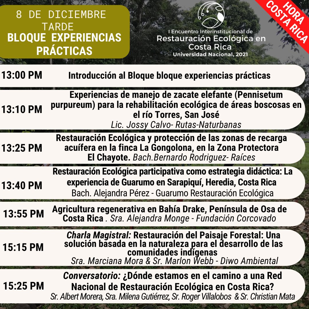 Guarumo Restauración Ecológica tweet media