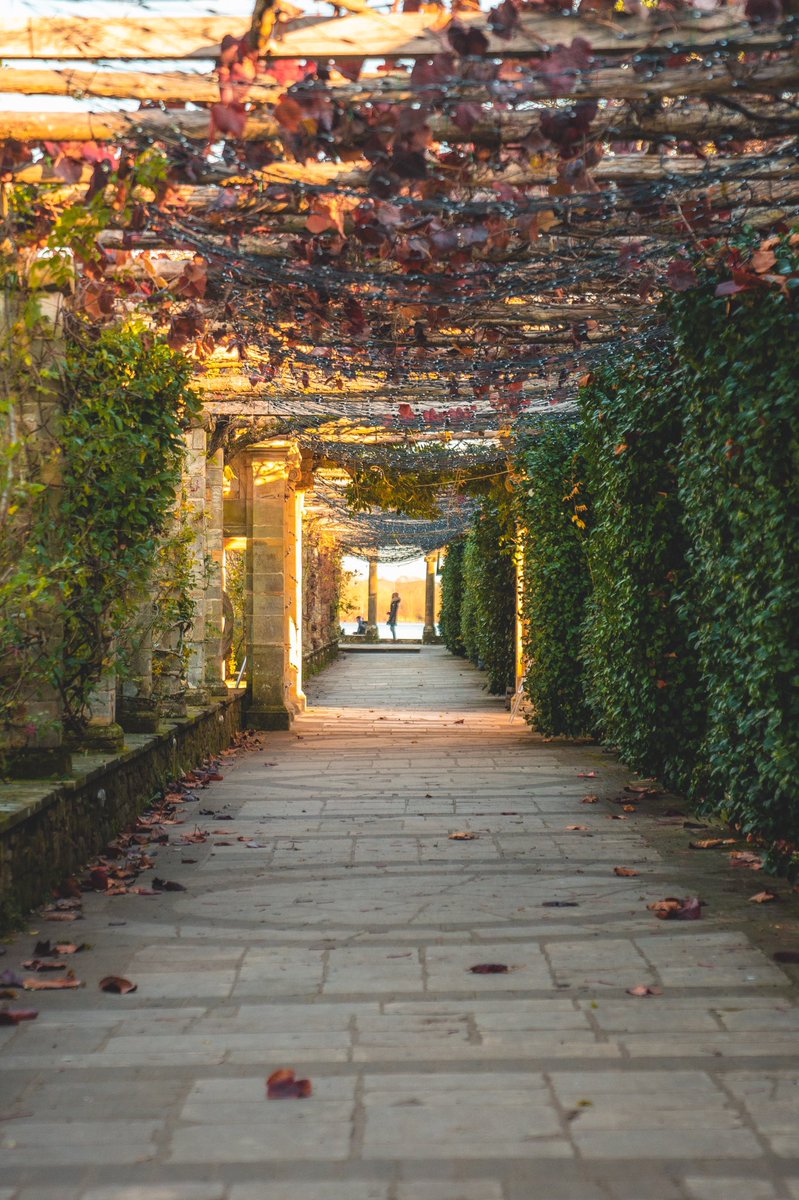 Dajchai_'s tweet photo. Autumn walks https://t.co/OLo6CzwPEB