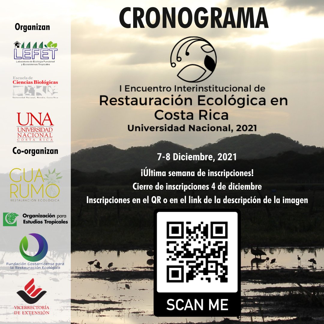 Guarumo Restauración Ecológica tweet media