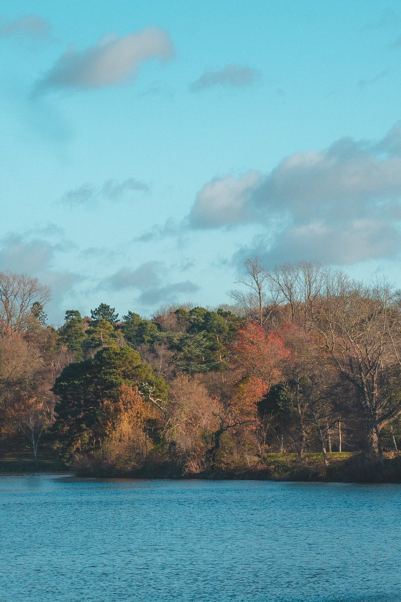 Dajchai_'s tweet photo. Autumn walks https://t.co/OLo6CzwPEB