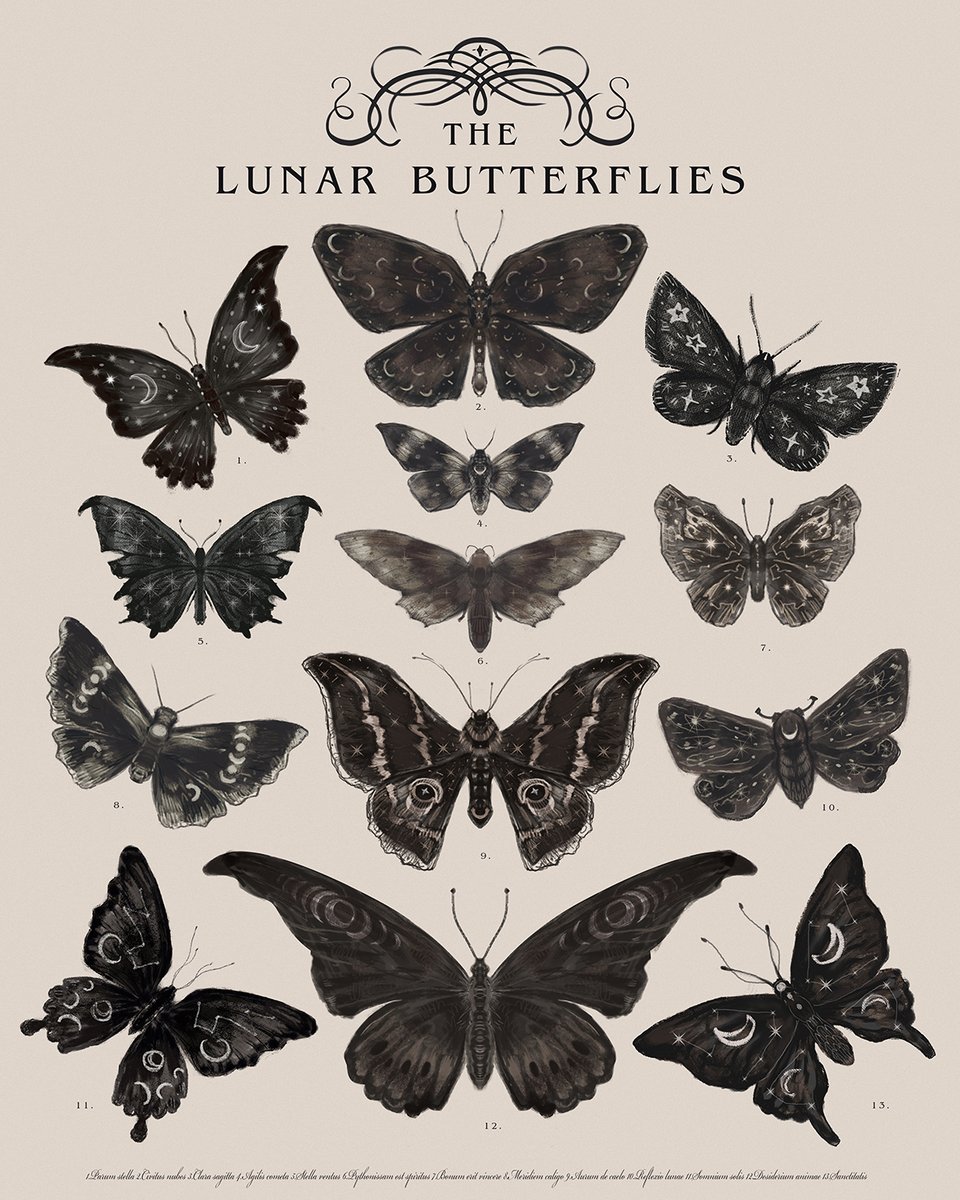 leksa_art's tweet photo. #art #artist #ArtistOnTwitter #poster #printmaking #cottagecore #goblincore #fairycore #Butterfly #digitalart https://t.co/Zj4ePE0uvD
