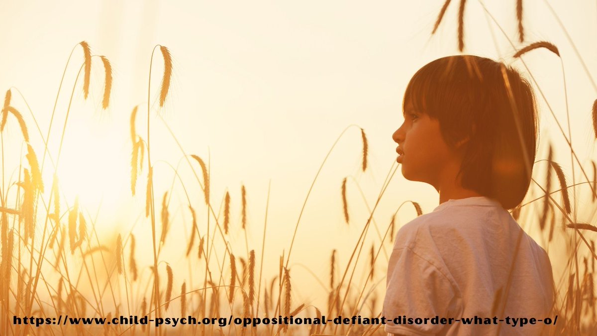 Child-Psych.org tweet media