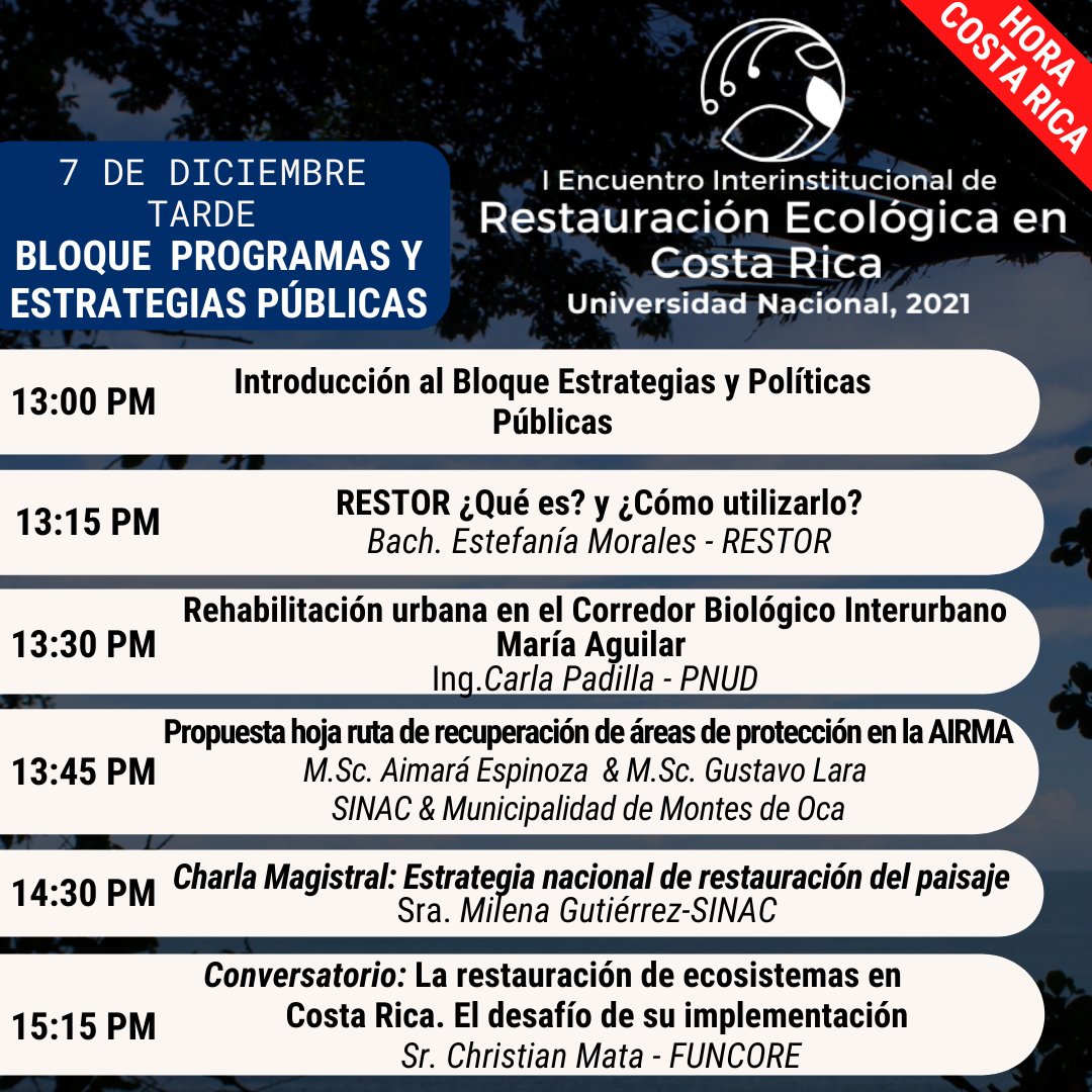 Guarumo Restauración Ecológica tweet media