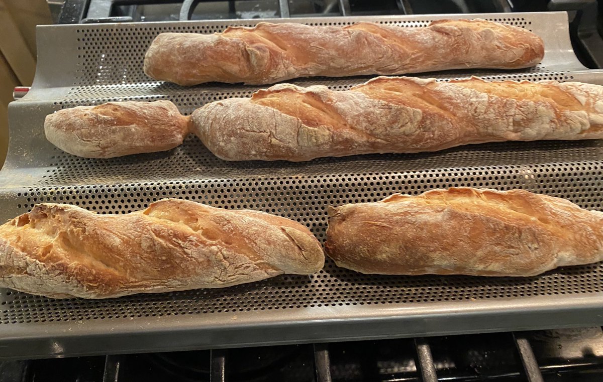 fredvultee's tweet photo. Baguettes up. On deck: Spice-crusted tenderloin and apple-stuffed squash. #WSU_com https://t.co/WKK1nLeLMG