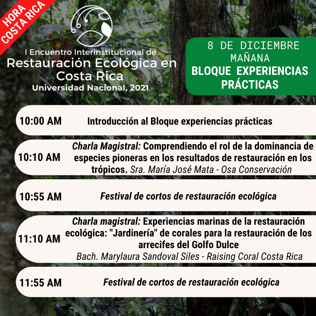 Guarumo Restauración Ecológica tweet media