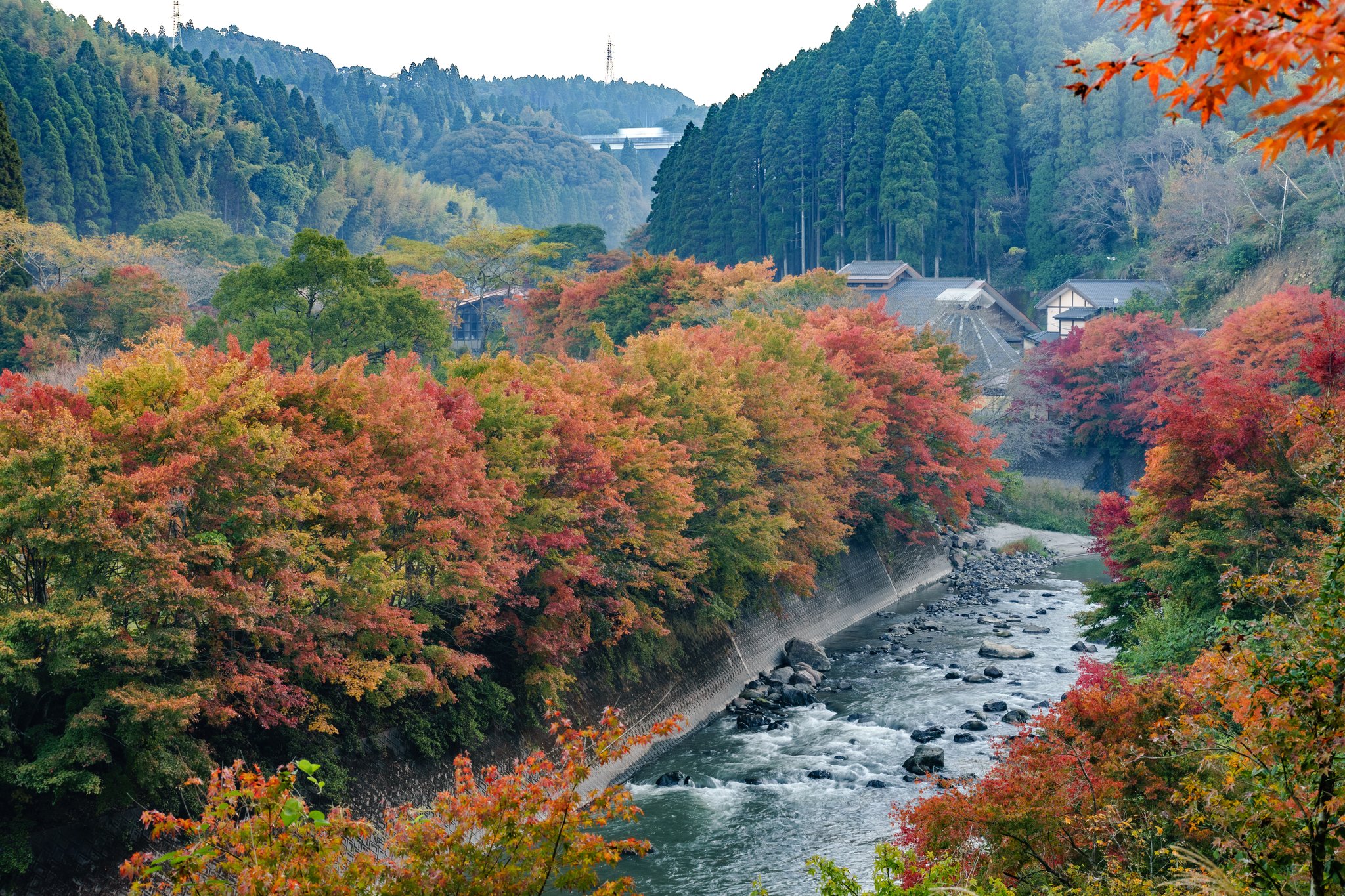せせらぎの湯花水木 Twitter Search Twitter