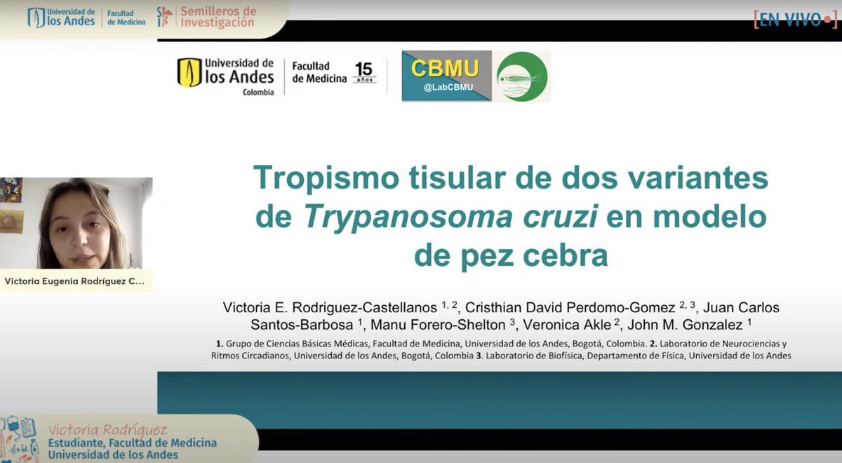 paulapintoro's tweet photo. Presentando en el evento de Semilleros de Investigación 2021-2 @MediUniandes @FSFB_Salud #WomenInResearch #WomenInScience https://t.co/FTfK9hnl9c
