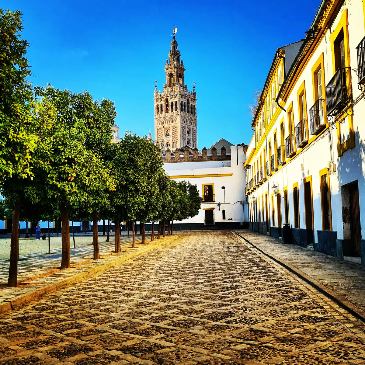 One month ago... Sipping tinto and snacking on carrillada. 

Now... marking topic and snacking on anything within 1.2m of me.