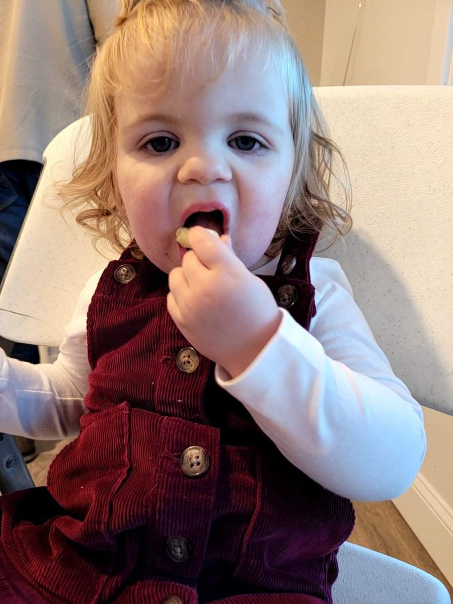 nick80drips's tweet photo. #HappyThanksgiving #missmae #babyproof https://t.co/EJ8yoggeW5