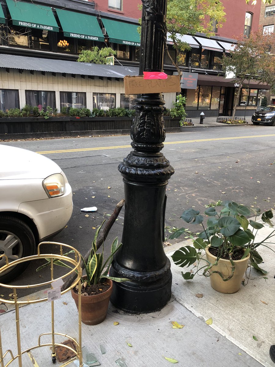 Some of the perks of living in NYC —>  stumbling upon random street giveaways