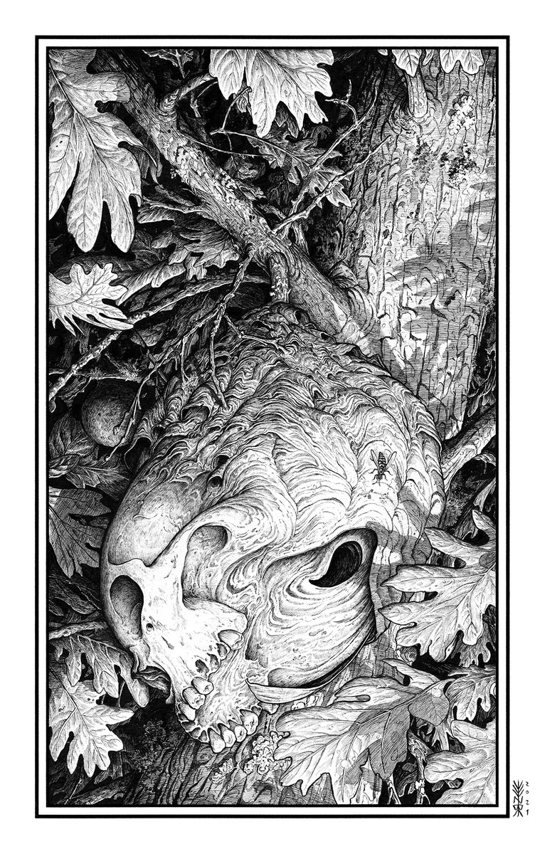 Ze Burnay tweet media