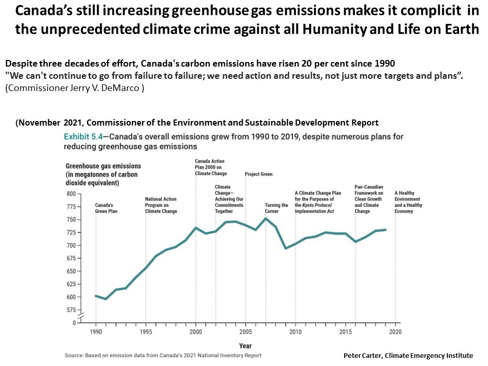 Peter D Carter tweet media
