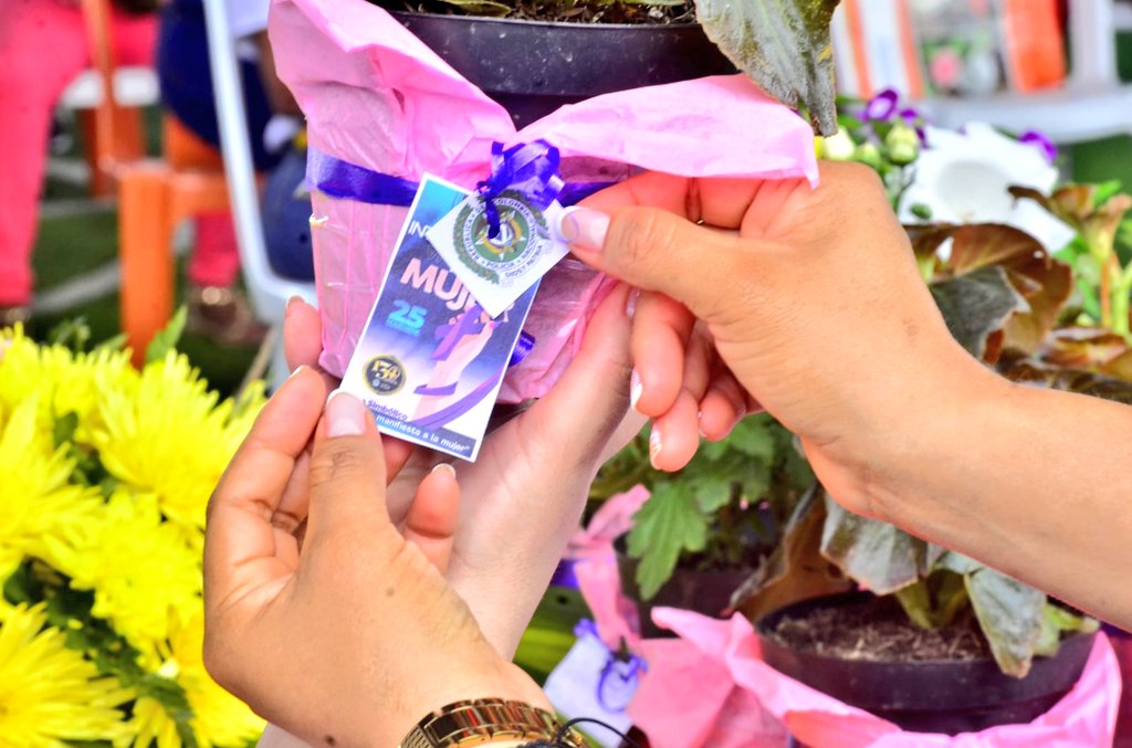PoliciaBolivar's tweet photo. En #SanFernando como símbolo y presente, entregamos una planta natural que representa vida y esperanza, en Conmemoración al  "Día Internacional de la Eliminación de la Violencia Contra la Mujer". #MujeresLibresDeViolencias https://t.co/2lmpTa97w3