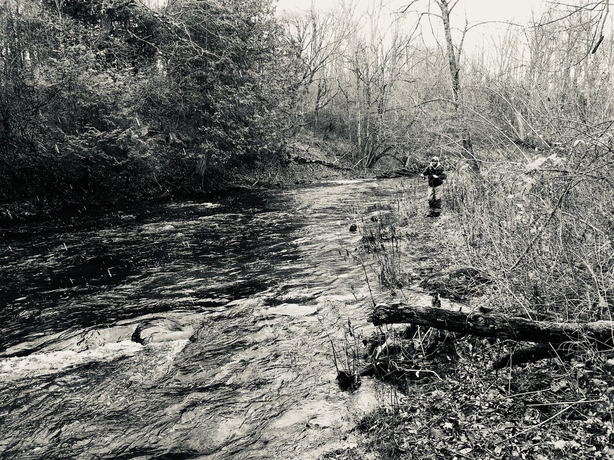 EmilyG_Fish_Dr's tweet photo. If you truly love nature, you will find beauty everywhere. —Laura Ingalls Wilder #getoutside #FishNY . We spent some time stream side chasing brown #trout https://t.co/UZRHqZRLE5