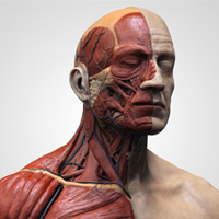 3dheals's tweet image. Berlin based @Quantica3D has introduced a 3D printing system capable of jetting and combining multiple ultra-high performance resins with voxel-level control at @formnext_expo. bit.ly/3xq0JQd #multimaterialprinting #polymerjetting #polymeric #formnext