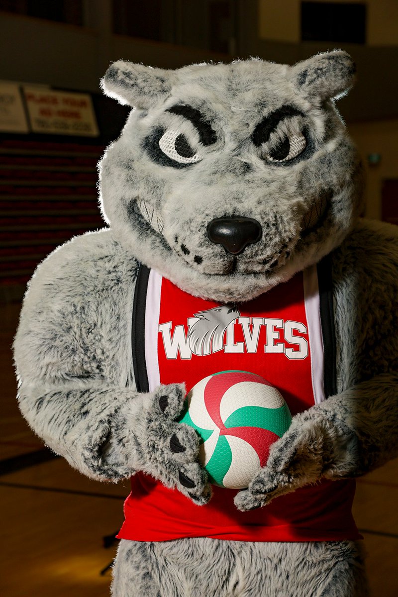 NWP Wolves tweet media