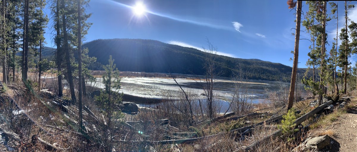 Grateful. Happy Thanksgiving!