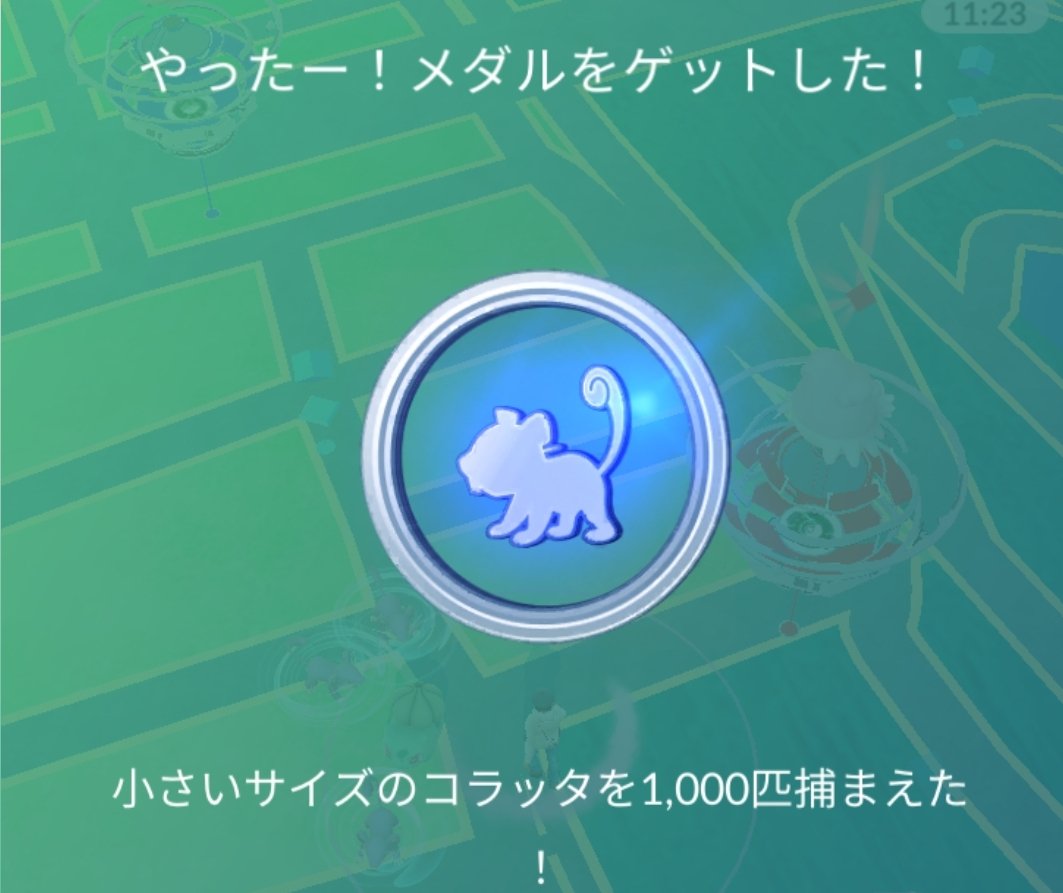 Newsboycap Yuki メダルゲット なんとかギリギリで到達しました ポケモンgo コラッタ スポットライトアワー T Co Pasrgpivw0 Twitter Newsboycap Yuki メダルゲット なんとかギリギリで到達しました ポケモンgo コラッタ スポットライトアワー T Co Pasrgpivw0 Twitter