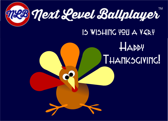 We're feeling thankful for every day we set foot on a ball field - and for each and every one of you who shares our love of the game!